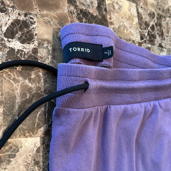 Torrid Size 2- French Terry Joggers - Picture 3 of 6